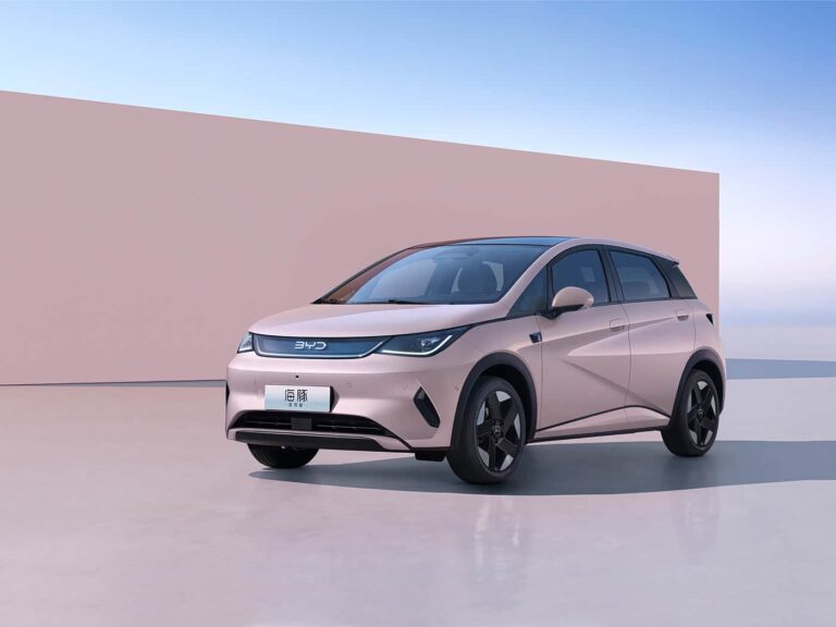 2025 BYD Dolphin